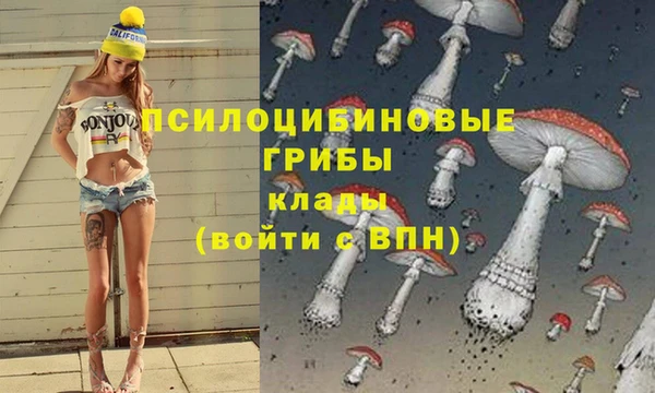 прущие крисы Алексеевка