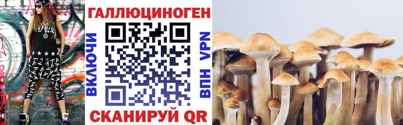 Псилоцибиновые грибы Psilocybe  Мамадыш 