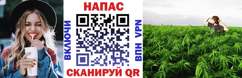 Бошки марихуана AK-47  Мамадыш 